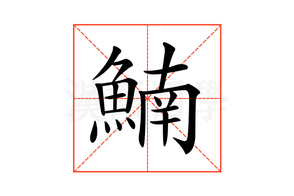 𩹞