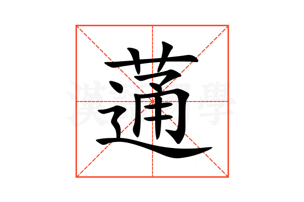 蓪