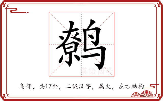 鹩