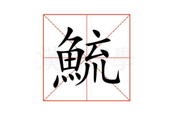鯍